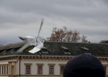 Usare il cuore per cambiare la polarità del pensiero