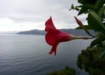 Cambiare la qualità vibratoria con il suono