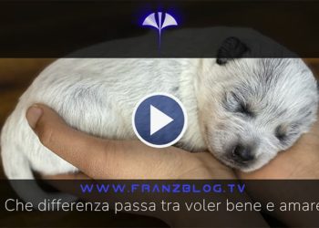 Che differenza passa tra voler bene e amare