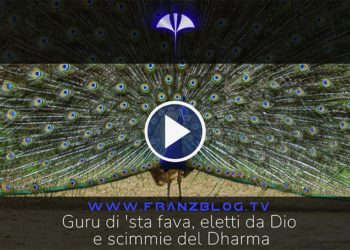 Guru di ‘sta fava, eletti da Dio e scimmie del Dharma